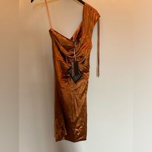 NWT Roberto Cavalli 94% silk dress